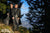 young couple wearing Robert W. Stolz long loden wool overcoats on top of the Rax mountain in Lower Austria.