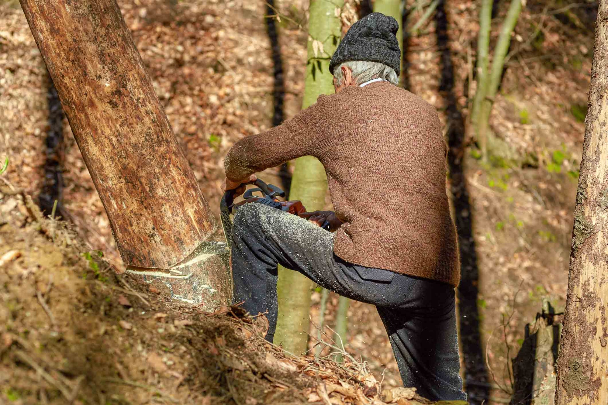 man wearing wool jacket cutting down tree